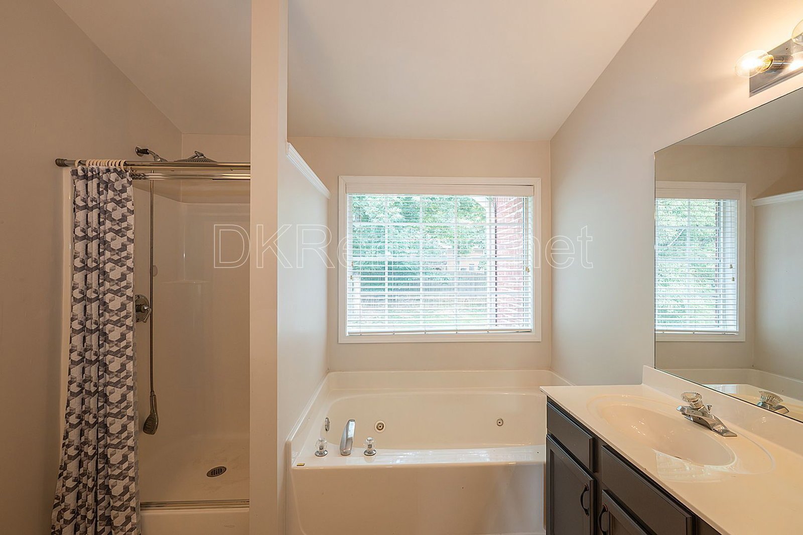 1540 Hampton Hollow Drive Lawrenceville, GA 30043 property image