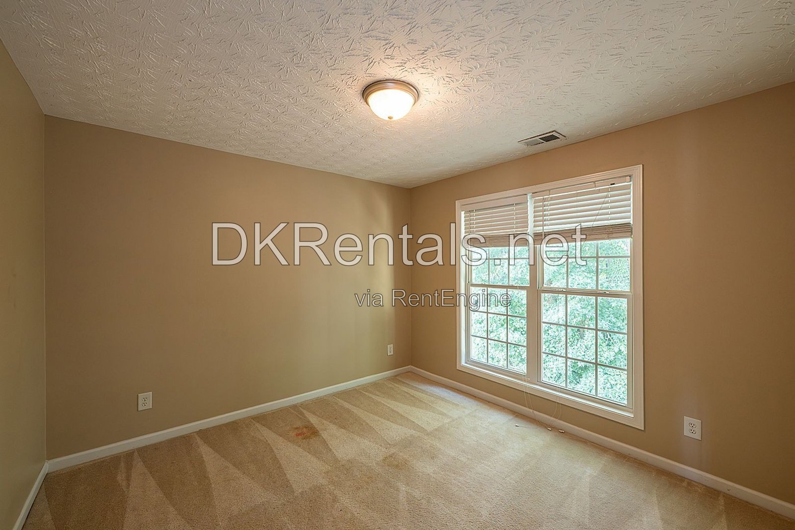 41 Branch Court property image