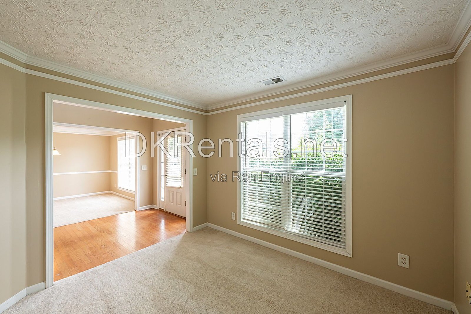 41 Branch Court property image
