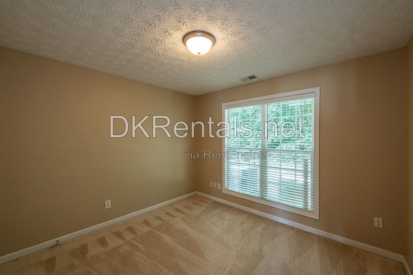 41 Branch Court property image