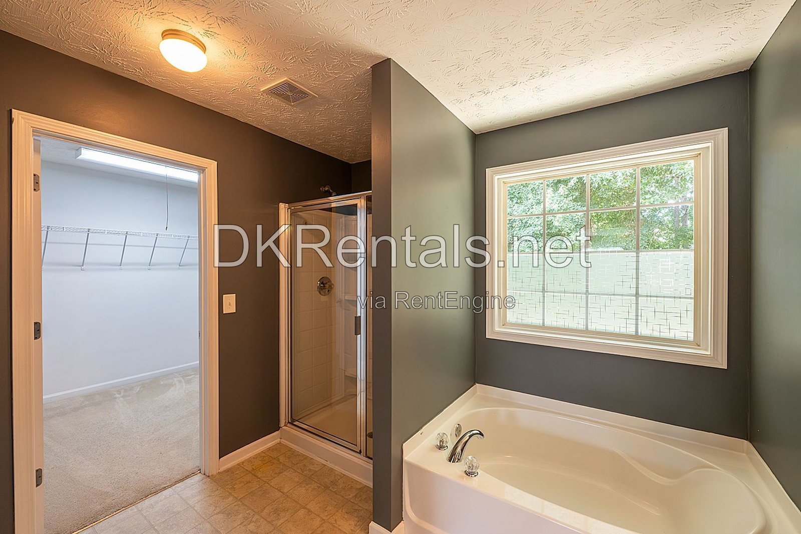 41 Branch Court property image