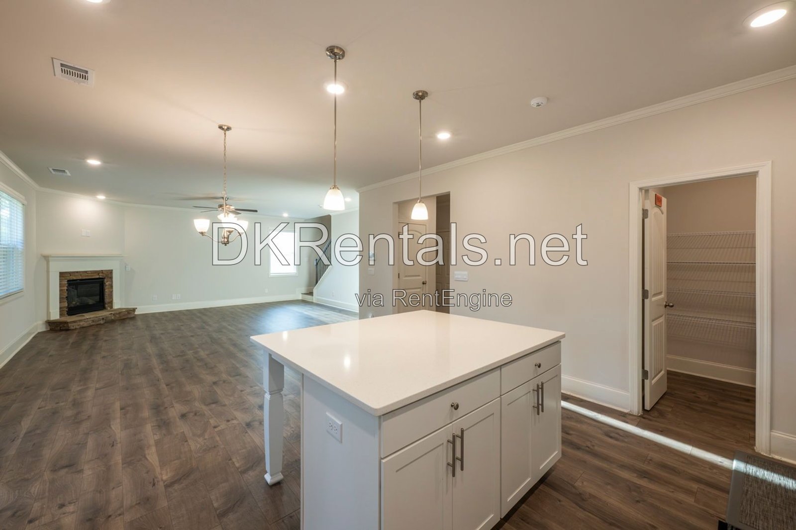 4832 Ivey Grace Way property image