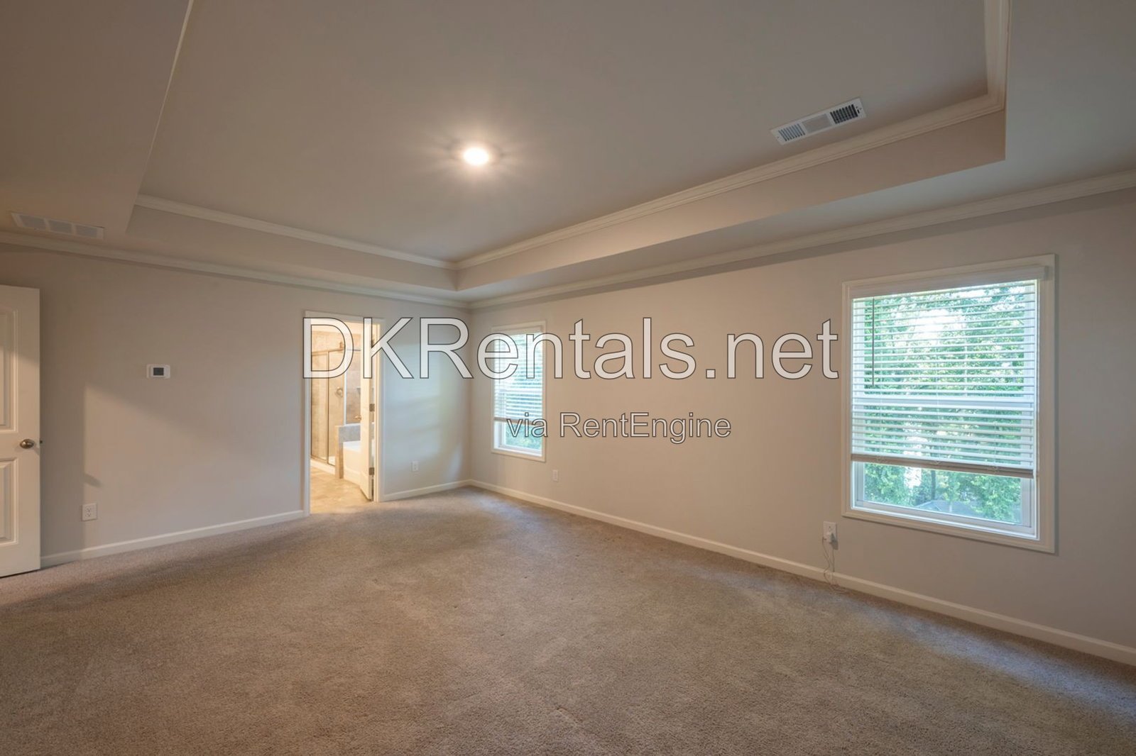 4832 Ivey Grace Way property image