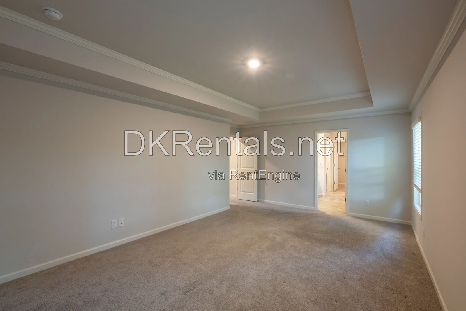 4832 Ivey Grace Way property image