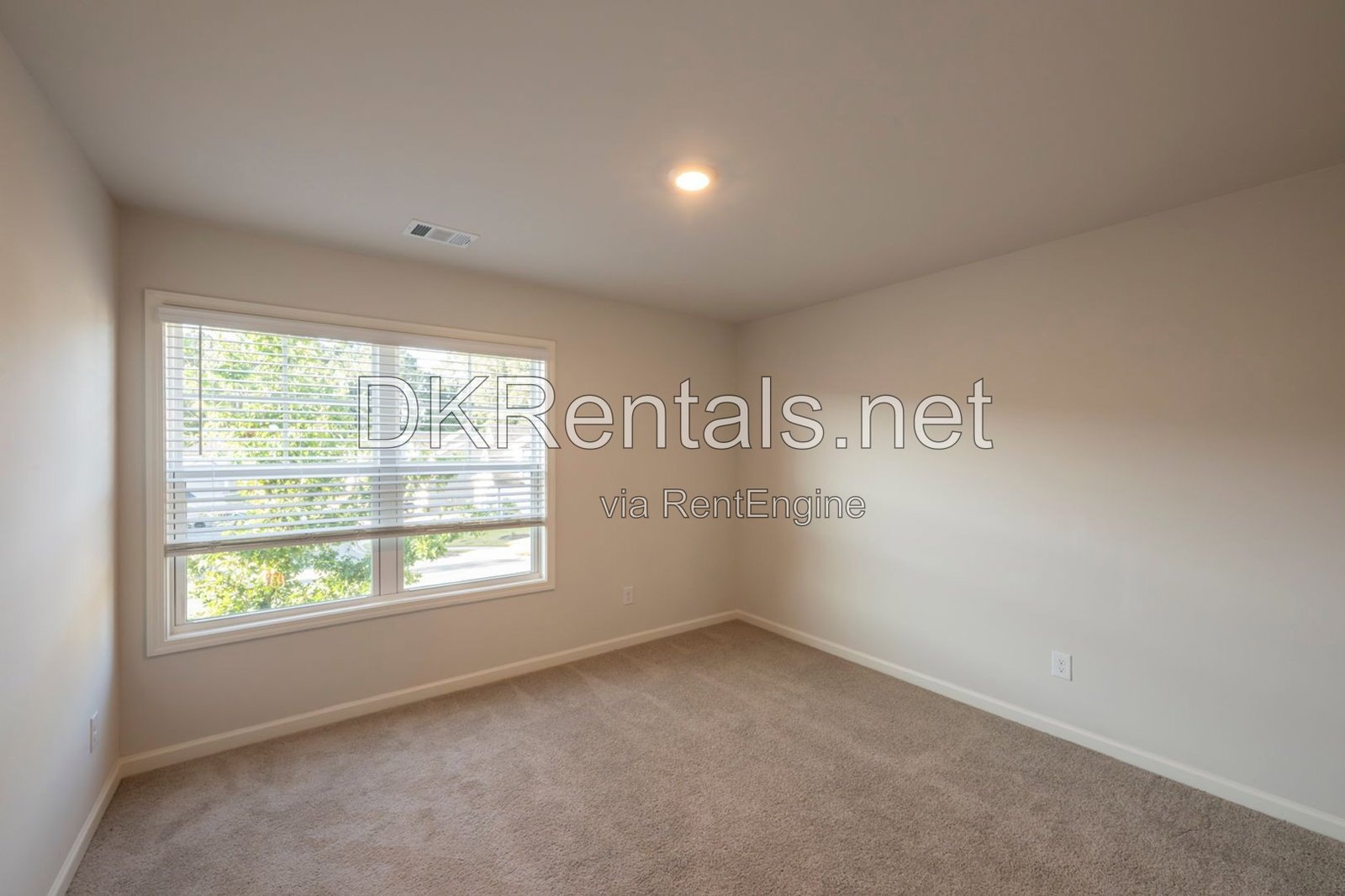 4832 Ivey Grace Way property image